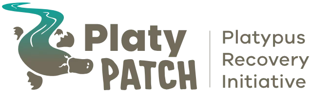Platy Patch