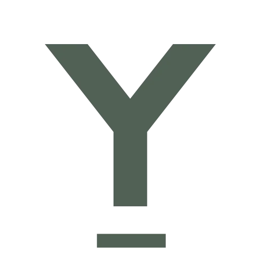 Young Constructions